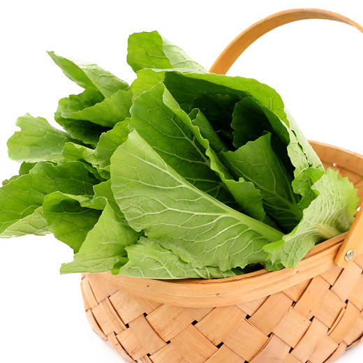 有机小白菜 商品图1