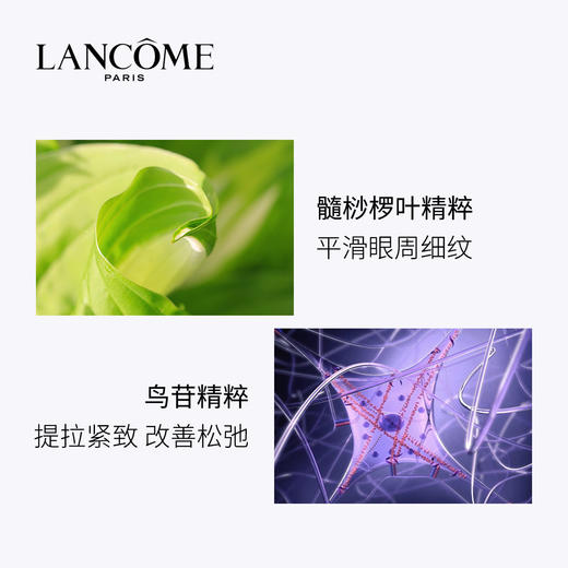 兰蔻塑颜修护眼霜15ml 商品图4