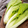 有机小白菜 商品缩略图2