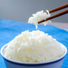 东北稻花香5kg|香糯又绵密，口口醇香 商品缩略图0