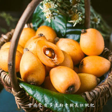 【下单48小时左右发货】云南 蒙自 多法勒老树长红枇杷3斤装左右（约39-45个左右） 商品图4