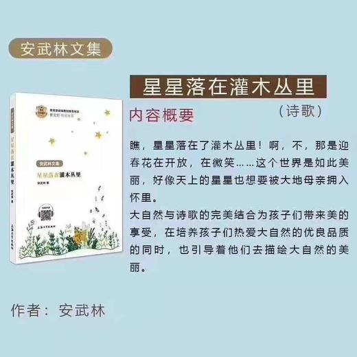 安武林：星星落在灌木丛里 商品图3