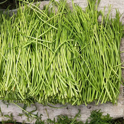 【苏北农家蔬菜组合】生菜,茼蒿,青菜,土豆,芦蒿,芹菜 / 仅发江浙沪