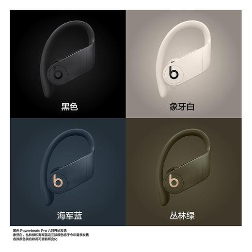 Beats Powerbeats Pro 真无线蓝牙运动耳机 商品图1