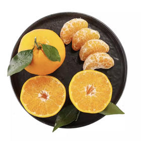 爱媛38号果冻橙柑橘 橘子桔子 2.5kg装
