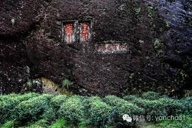 [茶识]武夷岩茶里"坑、涧、窠、窝、洞、峰、岩"的山场奥秘！