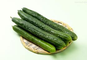 黄瓜1000g左右/份