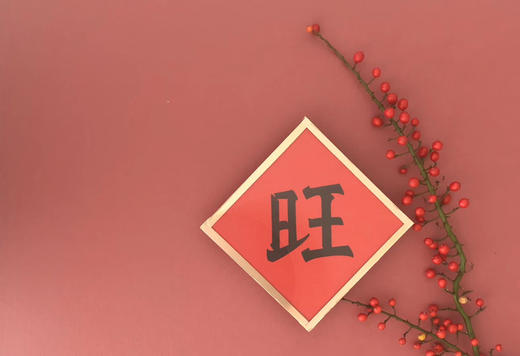 Project Lazarus | TOO COOL 美 吉 发 旺 商品图7