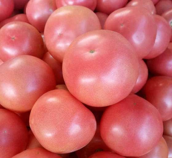 粉西红柿 约500g/份