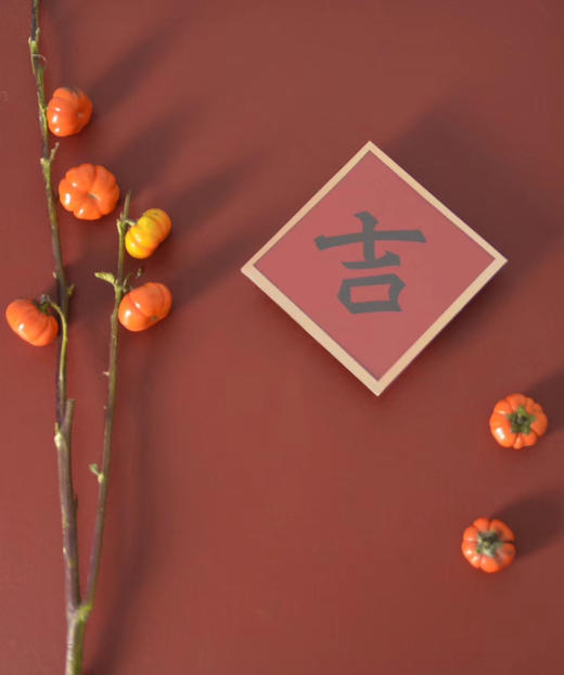 Project Lazarus | TOO COOL 美 吉 发 旺 商品图5