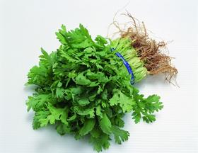 香菜150g/份