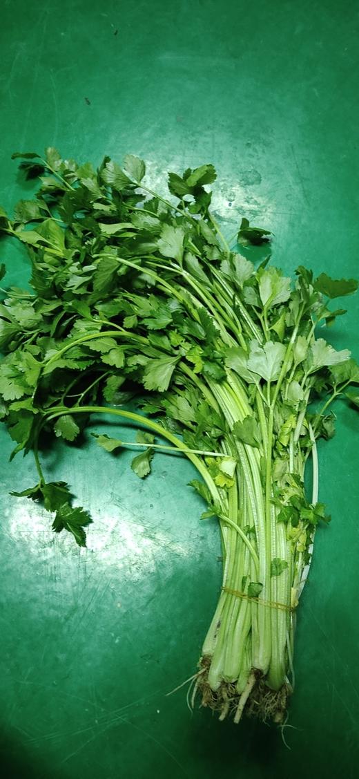 白芹菜（本地芹菜2斤/份） 商品图0