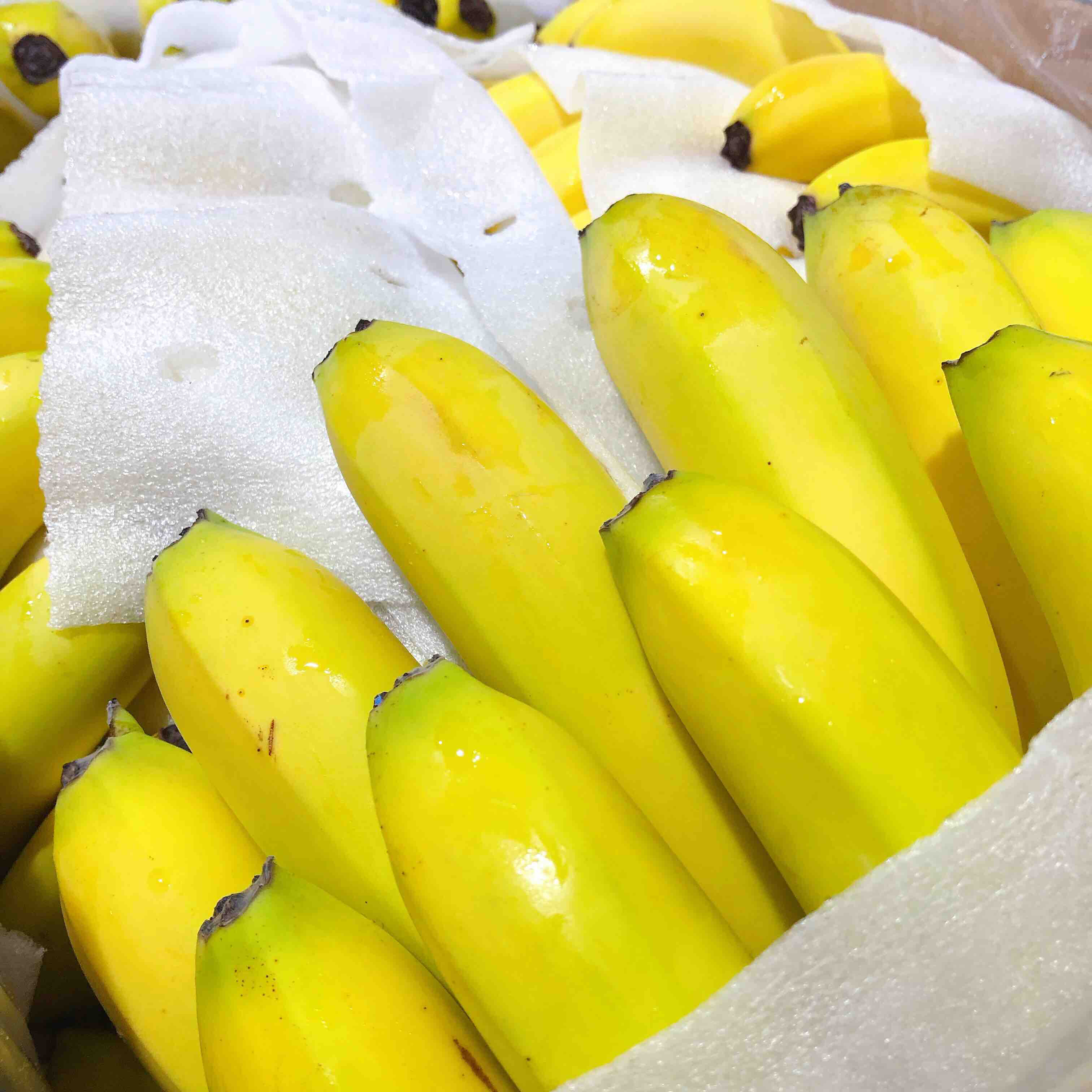 佳农蕉佳农香蕉香蕉起斑吃是最佳时期最佳口感营养也是最好的时候哦