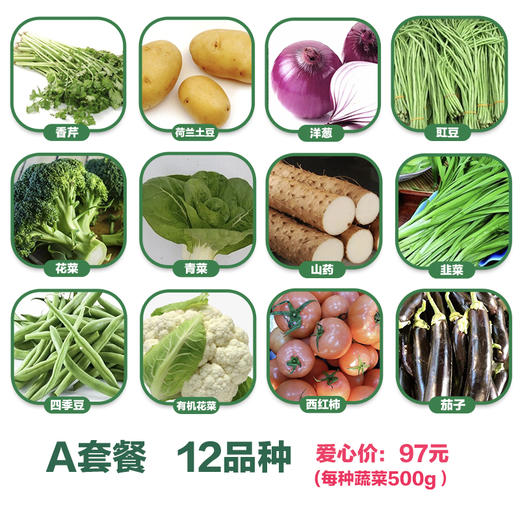 【測-蘇糧愛心購】蔬菜a套餐 精選12種蔬菜 豐富膳食纖維