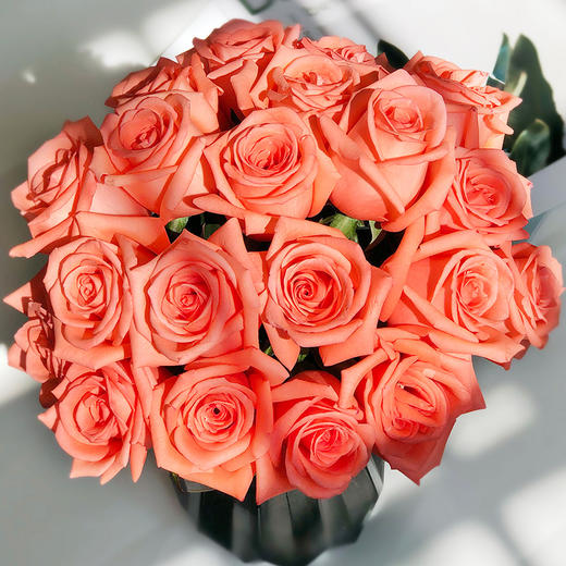 影星玫瑰 20支/40支 冷链包邮 - 拉芙鲜花