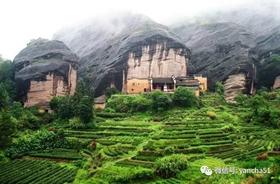 [茶识]全武夷山最具代表性的山场类型，“马头岩”基本都囊括了！