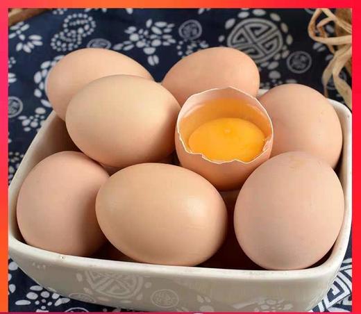 新鸡蛋一版30枚 商品图0
