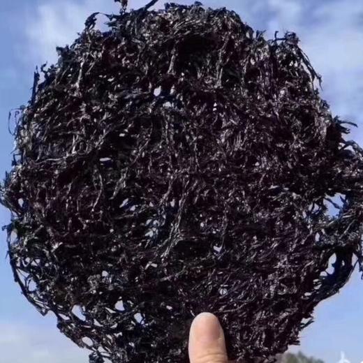 【海货精选】东山海鲜•头水紫菜 紫菜中的“劳斯劳斯”  每年收割头次的紫菜 紫菜特别细嫩 口感好 营养丰富 汤味甘甜 商品图0