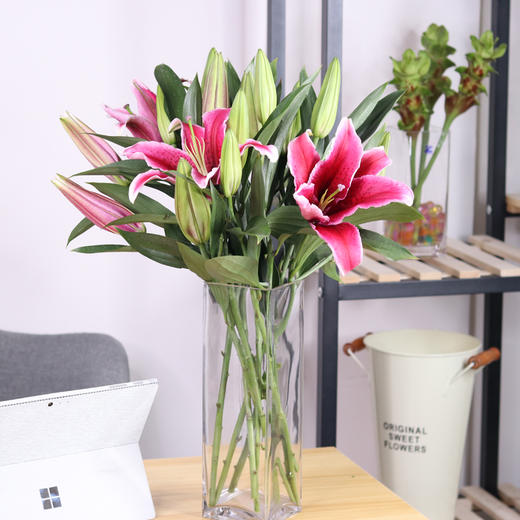 多头黑美人组合花束有香味冷链包邮