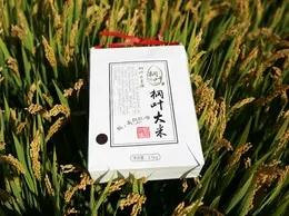 桐叶季卡礼套装 商品图1