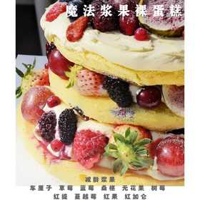 魔法浆果减龄裸蛋糕（含奶酪）