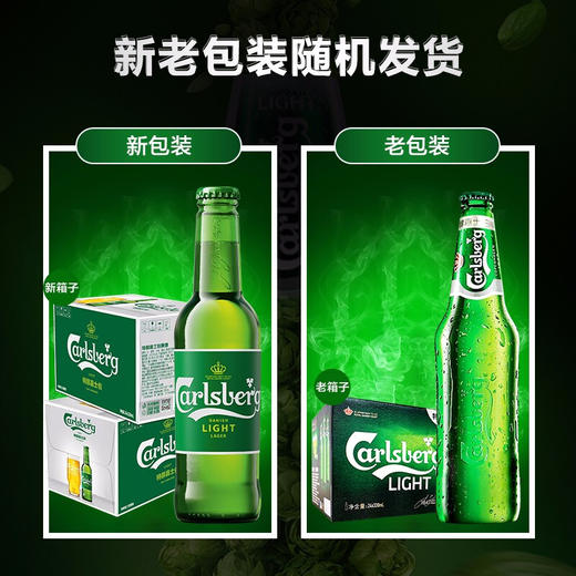 【整箱】嘉士伯 特醇啤酒275/330ml随机配送*24瓶 商品图2