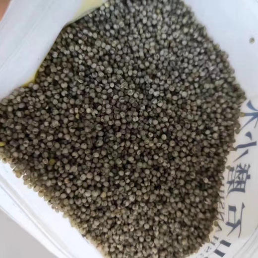 太行山石磨黄小米 /黑小米5斤装 商品图6