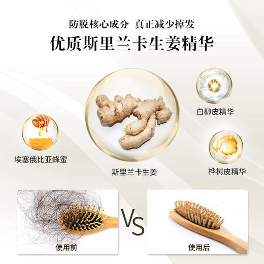 【中欧班列精选】英国生姜洗发水  The Body Shop 小铺生姜固养止痒去屑洗发水400ml/瓶 商品图2