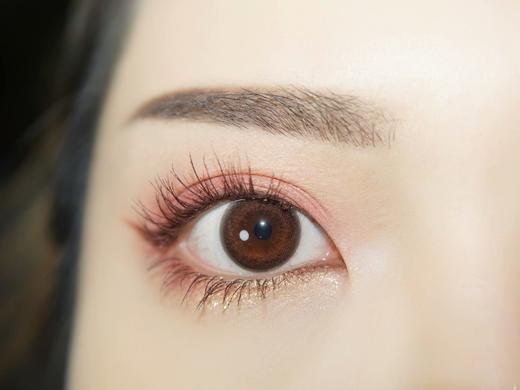 fairycon 肉桂茶褐 14.0mm 半年抛 超推荐！ 含硅水凝胶 商品图2