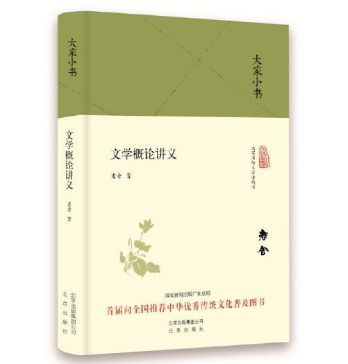 大家小书《文学概论讲义》（精装） 商品图0