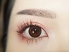 fairycon  焦糖泡芙 14.5mm大直径半 年抛  含硅水凝胶 商品缩略图0