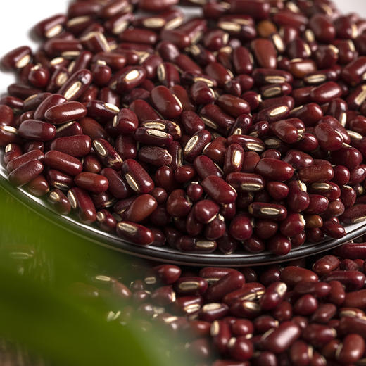 人民食品 赤小豆 黑龙江长粒红豆500g 商品图2