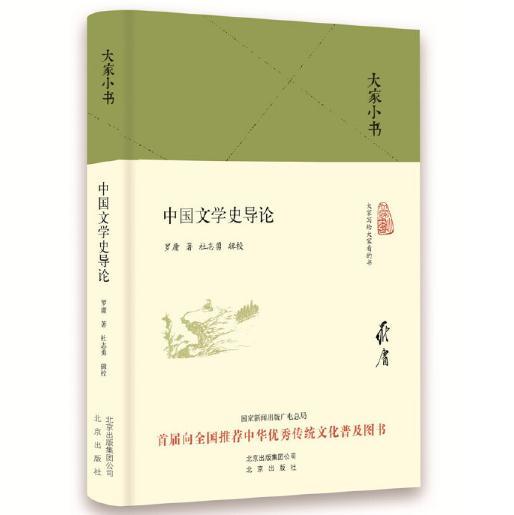 大家小书 中国文学史导论（精装本） 商品图0