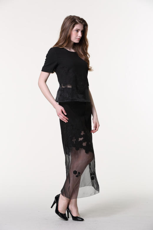 【伯妮斯茵】161B123--黑色半裙--邮差胡林--《生命之美-梵高的花园》 商品图2