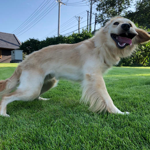 限时折扣测试 商品图0