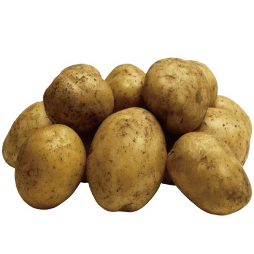 新鲜土豆500g 商品图0