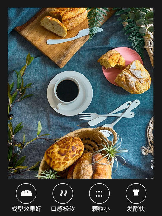 安琪/燕子/香满园酵母粉干酵母系列 商品图3