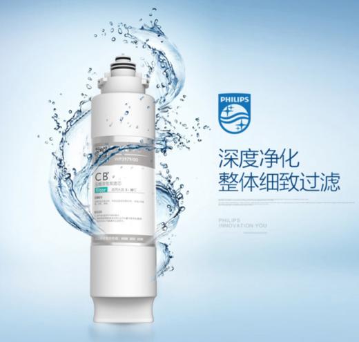  Philips/飞利浦WP4181净水器第二节滤芯WP3979（CB） 商品图1