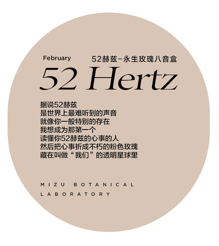 52hertz52赫兹永生玫瑰八音盒顺丰包邮