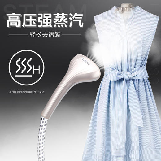 莱克挂烫机GT306单杆设计经典造型 商品图3