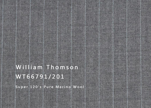 WT66791-201 纯毛高支花呢 【灰色 条纹 斜纹 W100】(901) 商品图0