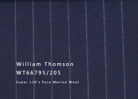 WT66795-205 纯毛高支绒面花呢 【蓝色 条纹 斜纹 W100】(902)