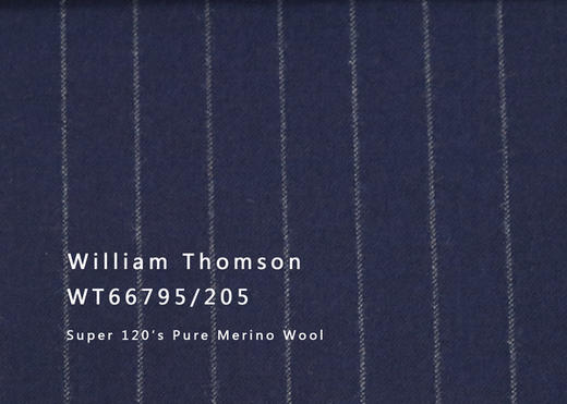 WT66795-205 纯毛高支绒面花呢 【蓝色 条纹 斜纹 W100】(902) 商品图0