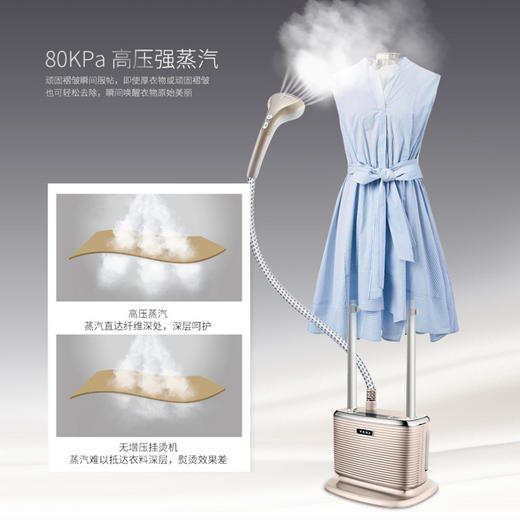 莱克挂烫机GT701单杆设计经典造型 商品图3