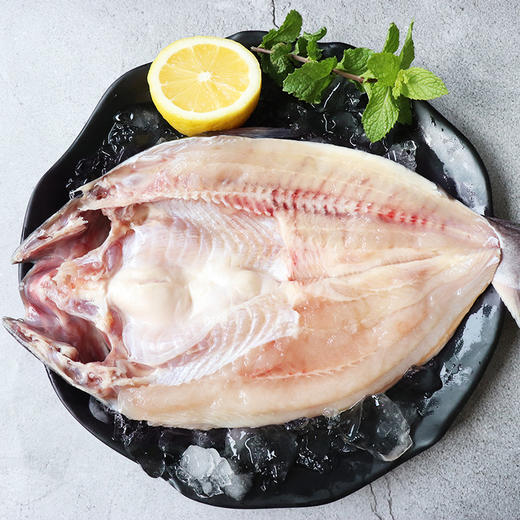 开背鱼一条 商品图1