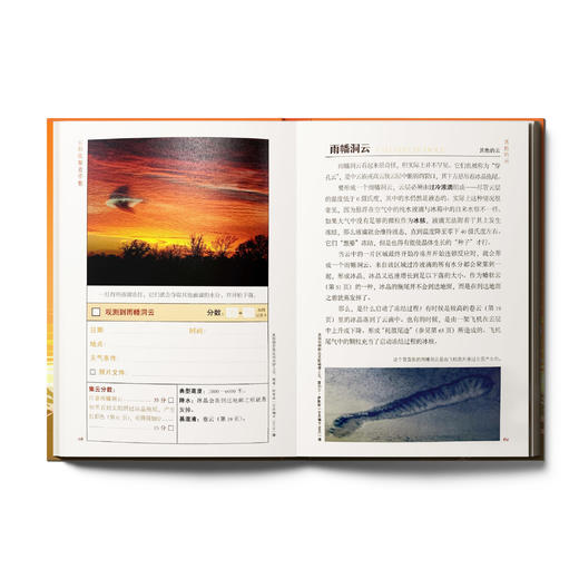 《云彩收集者手册》 商品图5
