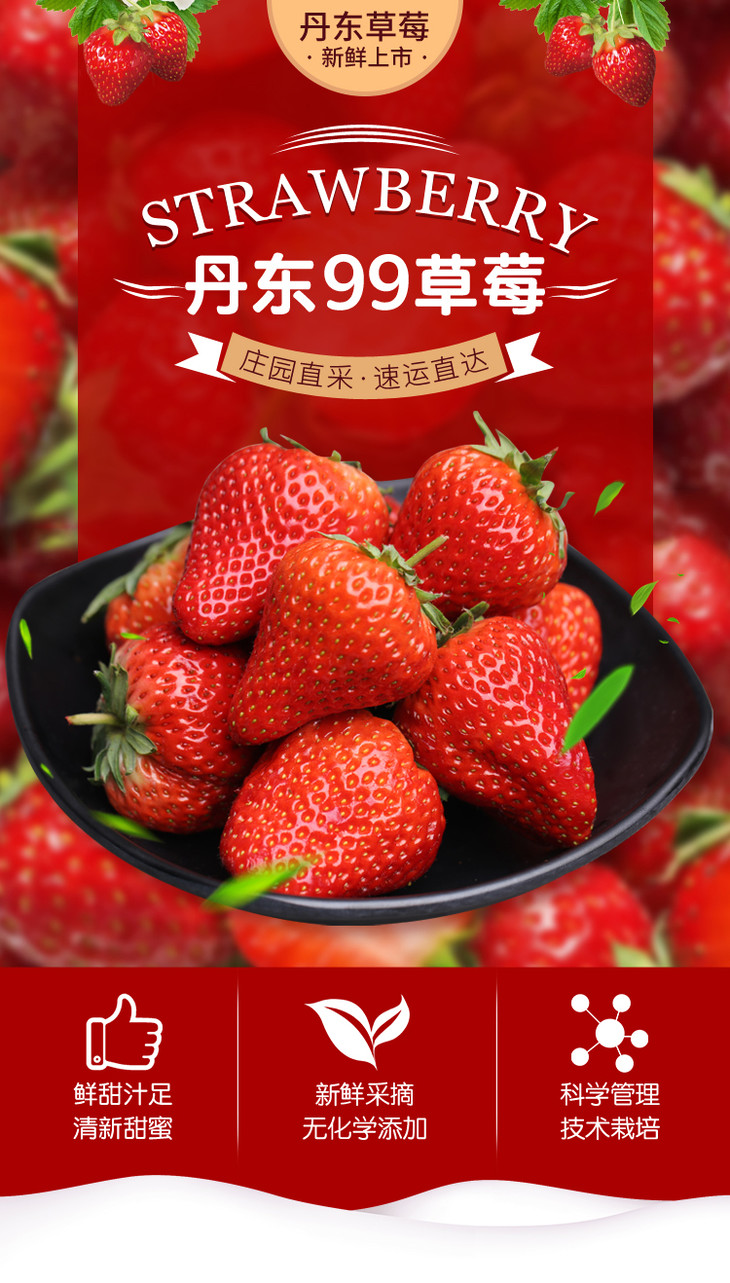 泡沫保温箱品质升级回归丹东马家岗九九草莓蜜蜂授粉自然生长只配送