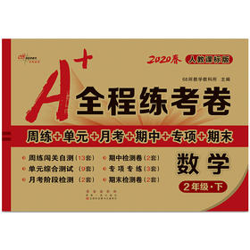 2020春  A+全程练考卷 数学 二年级 下册  人教部编版