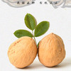 【产地直发包邮】坡坡上有机纸皮核桃 商品缩略图0