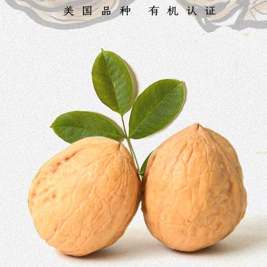 【产地直发包邮】坡坡上有机纸皮核桃 商品图0